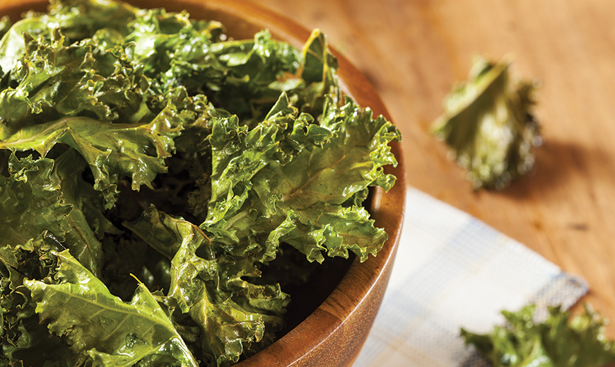 Parmesan Kale Chips Recipe CAbi Blog